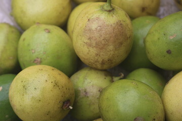 Sour orange is a native tropical fruit that grows and bears fruit in Indonesia