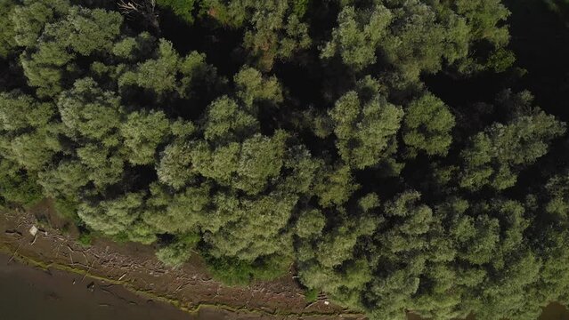 Amazing aerial footage flyover green nature landscape, forest