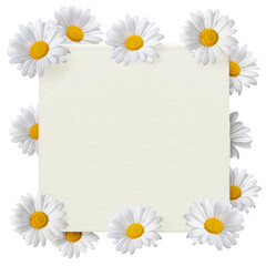 Fototapeta premium Png floral frame sticker, botanical design in transparent background