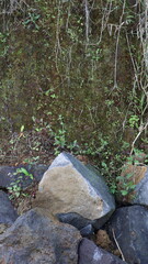 close up texture of rock fragments and soil as background