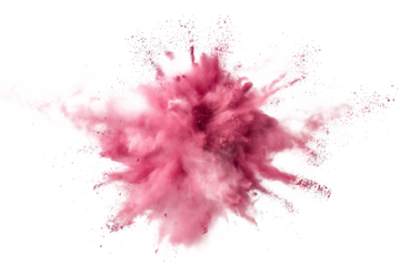 Pink explosion of powder. Flying in different directions powder for design and decoration.