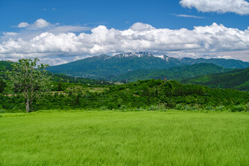 守門岳と草原