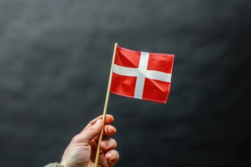 A person holds a Danish flag, perfect for national pride or cultural events