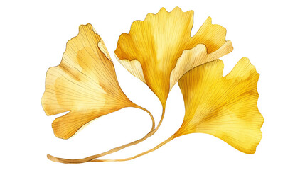 Naklejka premium A watercolor illustration of a ginkgo biloba colored yellow isolated on a transparent background