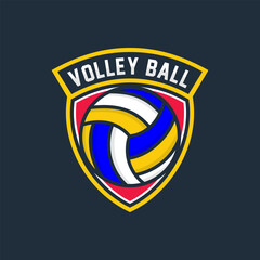 Volley Ball Logo Design Image