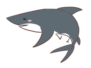 Fototapeta premium シンプルなサメのイラスト