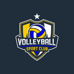 Volley Ball Logo Design Image