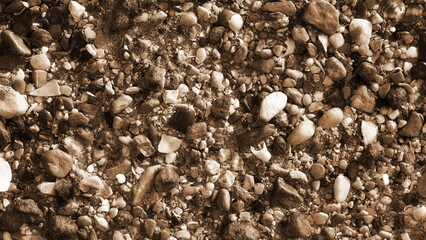Sepia Tone Beach Pebbles Shells Close-Up Detailed Texture