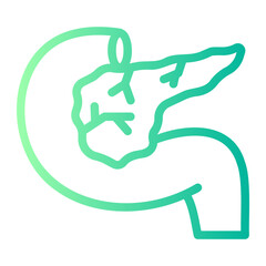 pancreas