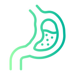 stomach