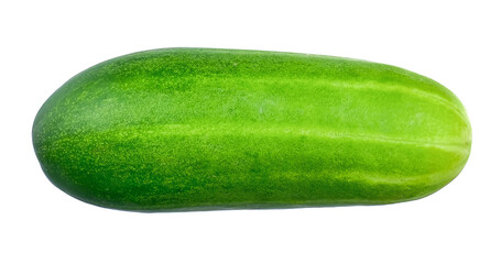 cucumber isolated on white isolated background