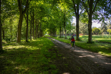 footpath in the park