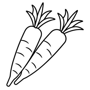 recommend clip art: carrots outline coloring book page line art illustration digital drawing
