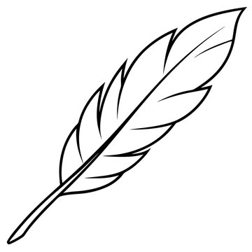 recommend clip art: feather outline coloring book page line art illustration digital drawing