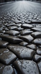 Close-up of paving stones wet from rain