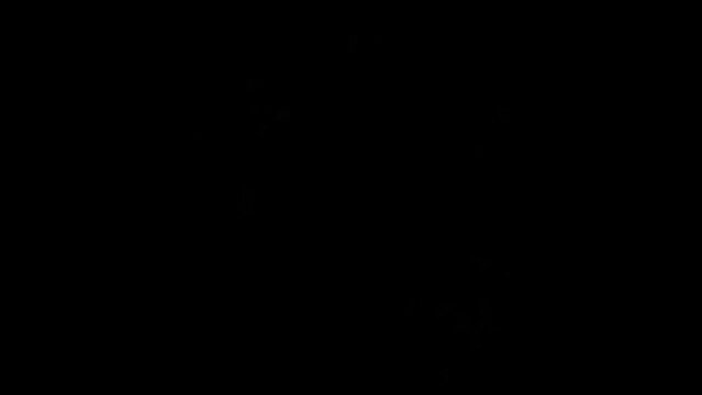 Colorful fireworks exploding in the night sky. Celebrations and events in bright colors.