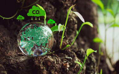 A glass sphere with world map on it. Spheres set on a wooden floor with various icons and symbols....