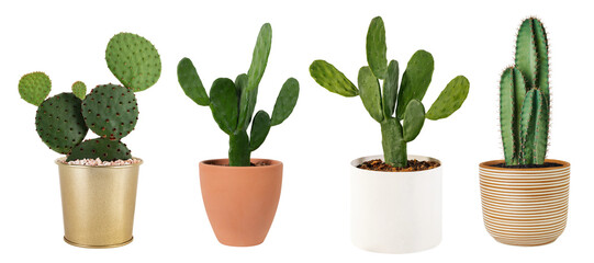 Plant png cut out element set