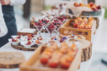 Catering banquet table with baked food snacks, sandwiches, cakes, cups and plates, shrimps, meat, fruits. self serve, open buffet dinner. Cocktail table buffet finger food plated.