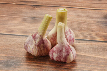 Young garlic heap for cooking