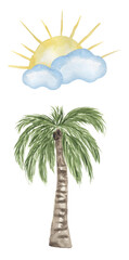 Watercolor palm tree and sun with clouds illustration