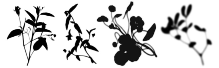 PNG palm leaf shadow  cut out element set