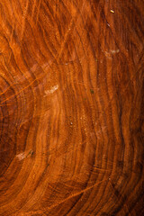 Dark wooden texture. Wood brown texture. Background old panels. Retro wooden table. Rustic background. Vintage colored surface.