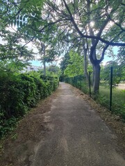 nature path in Berlin Treptow/Köpenick