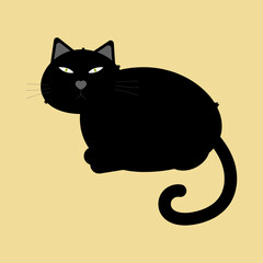 Black cat