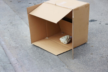 Thrown away empty dirty opened carton box with a big stone and some garbage inside laying on the...