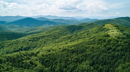 Fototapeta premium Sprawling green forest carpets rolling mountains under azure sky with puffy white clouds. Sunlight casts shadows, creating depth and texture across lush landscape.