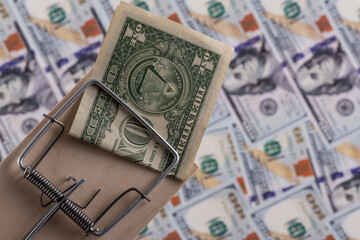$1 bills used as bait in a mousetrap