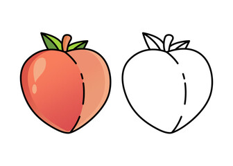 Vector Illustration of peach with lines and colors, for children's coloring book