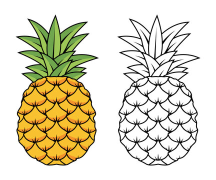Vector Illustration of pineapple with lines and colors, for children's coloring book