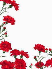 Floral frame of red carnations on white background. Summer greeting design, beautiful flowers on white background with copy space.