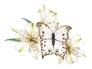 White flowers and Butterfly. Watercolor alstroemeria flowers. Composition with Lilies close-up. Floral botanical flower for graphic designer decorate, product design and card