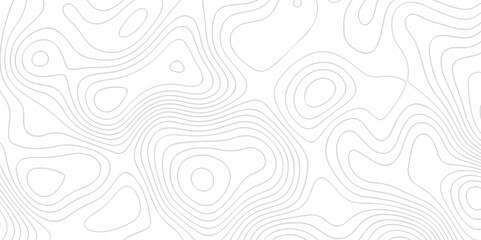 White wave paper curved reliefs abstract background. The topographic map contour in lines isolated. Abstract white topographic map background with lines. Background of the topography map.