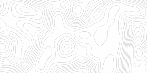 Fototapeta premium White wave paper curved reliefs abstract background. The topographic map contour in lines isolated. Abstract white topographic map background with lines. Background of the topography map.