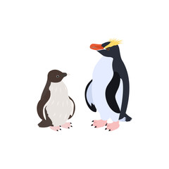 シュレーターペンギン（マユダチペンギン）の雛と成鳥。フラットなベクターイラスト。
Erect-crested penguin (Big-crested penguin) chick and adult. Flat vector illustration.
