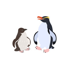 スネアーズペンギン（ハシブトペンギン）の雛と成鳥。フラットなベクターイラスト。
Snares Islands penguin (Snares penguin) chick and adult. Flat vector illustration.