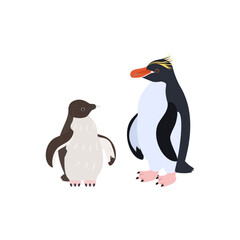 Naklejka premium マカロニペンギンの雛と成鳥。フラットなベクターイラスト。 Macaroni penguin chick and adult. Flat vector illustration.