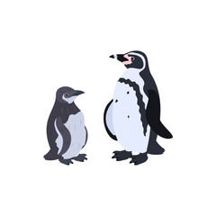 Naklejka premium フンボルトペンギンの雛と成鳥。フラットなベクターイラスト。 Humboldt penguin (Peruvian penguin) chick and adult. Flat vector illustration.