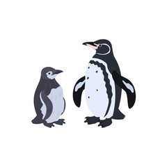 ガラパゴスペンギンの雛と成鳥。フラットなベクターイラスト。
Galápagos penguin chick and adult. Flat vector illustration.