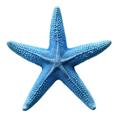 Starfish PNG Photo Overlays and Backgrounds - Realistic High-Quality Marine Life Images for Creative Projects, Perfect for Designers and Artists. AI generated.