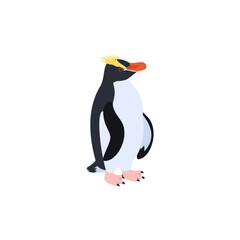 シュレーターペンギン（マユダチペンギン）。フラットなベクターイラスト。
Erect-crested penguin (Big-crested penguin). Flat vector illustration.