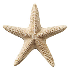Starfish PNG Photo Overlays and Backgrounds - Realistic High-Quality Marine Life Images for Creative Projects, Perfect for Designers and Artists. AI generated.