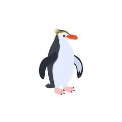 ロイヤルペンギン。フラットなベクターイラスト。
Royal penguin. Flat vector illustration.
