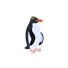マカロニペンギン。フラットなベクターイラスト。
Macaroni penguin. Flat vector illustration.