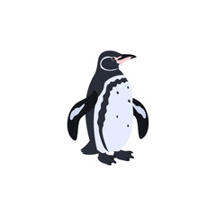 ガラパゴスペンギン。フラットなベクターイラスト。
Galápagos penguin. Flat vector illustration.