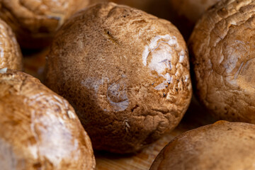 clean washed brown mushrooms after washing